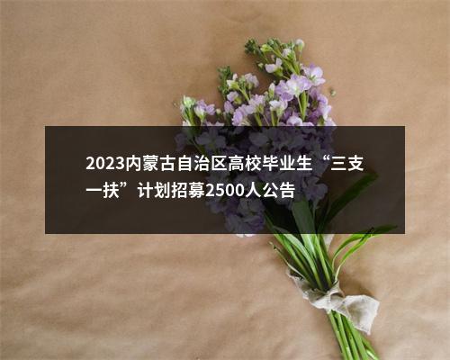 2023内蒙古自治区高校毕业生“三支一扶”计划招募2500人公告 图片