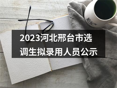 2023河北邢台市选调生拟录用人员公示 图片