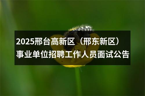 2025邢台高新区（邢东新区）事业单位招聘工作人员面试公告 图片