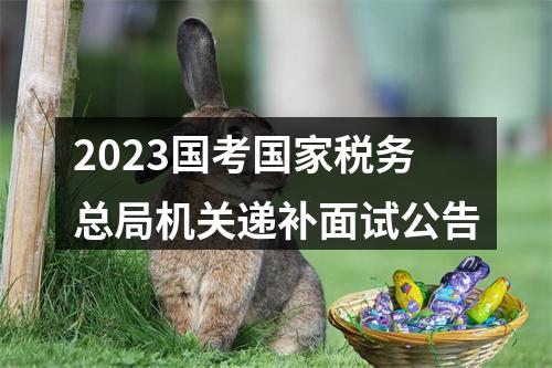 2023国考国家税务总局机关递补面试公告 图片