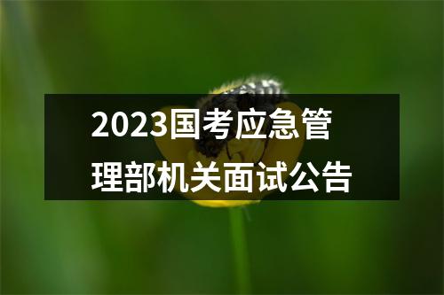 2023国考应急管理部机关面试公告 图片