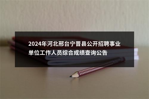 2024年河北邢台宁晋县公开招聘事业单位工作人员综合成绩查询公告 图片