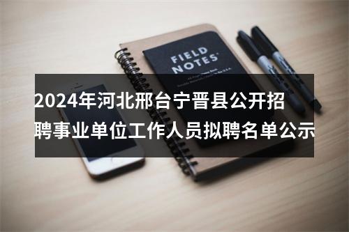 2024年河北邢台宁晋县公开招聘事业单位工作人员拟聘名单公示 图片