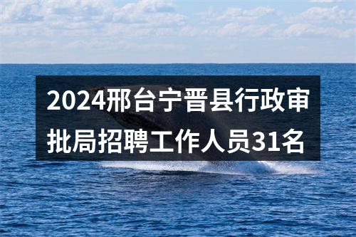 2024邢台宁晋县行政审批局招聘工作人员31名 图片