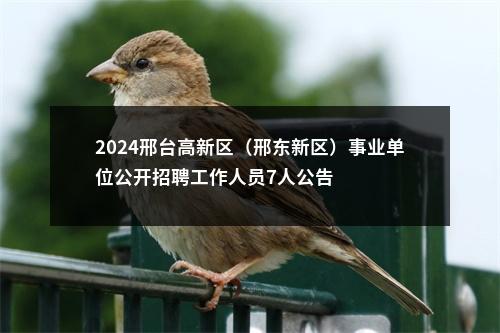 2024邢台高新区（邢东新区）事业单位公开招聘工作人员7人公告 图片