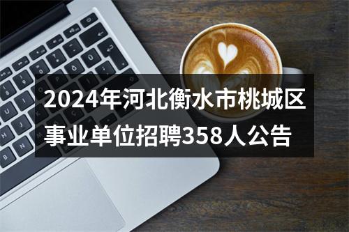 2024年河北衡水市桃城区事业单位招聘358人公告 图片