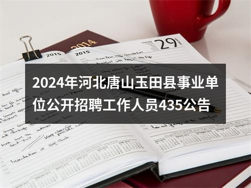 2024年河北唐山玉田县事业单位公开招聘工作人员435公告 图片