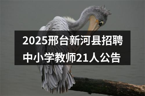 2025邢台新河县招聘中小学教师21人公告 图片