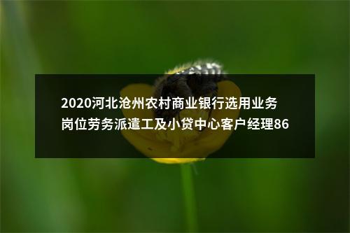 2022年中国邮政储蓄银行邢台市分行招聘劳务派遣工作人员10名公告 图片