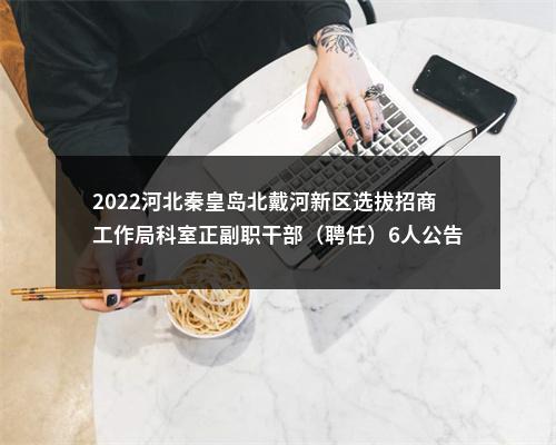 2022河北秦皇岛北戴河新区选拔招商工作局科室正副职干部（聘任）6人公告 图片