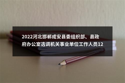 2022河北邯郸成安县委组织部、县政府办公室选调机关事业单位工作人员12人公告 图片