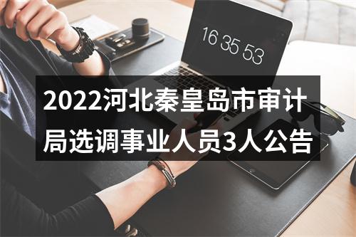 2022河北秦皇岛市审计局选调事业人员3人公告 图片