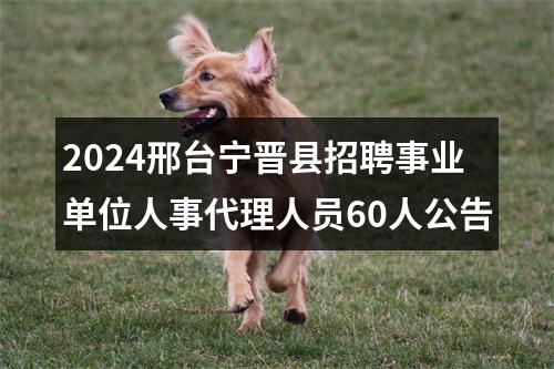 2024邢台宁晋县招聘事业单位人事代理人员60人公告 图片