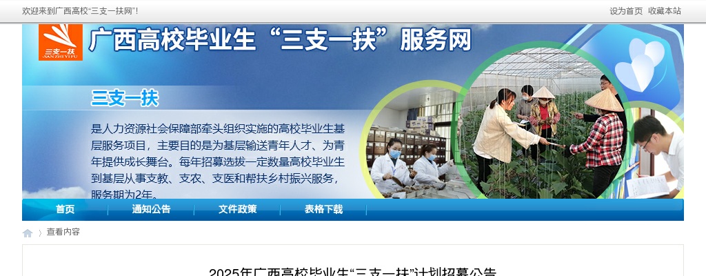 2021年青海省农商银行（农信社）系统 合同制柜员招聘213人公告 图片